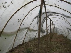 加厚耐用蝗虫养殖网棚结实耐用厂家直供