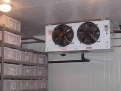上海专业回收冷库二手制冷机回收二手速冻隧道回收