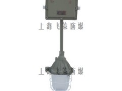 上海飞策BCJ52隔爆型防爆应急灯绝无仅有