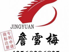 广州京远商标专利所 商标注册 专利版权申请