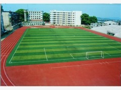 南通市如东县人造草坪球场最低价格