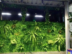专业设计仿真绿植墙假植物仿真植物墙背景墙设计安装