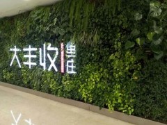 北京专业设计仿真绿植墙安装假植物植物墙背景墙安装