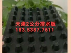 天津2公分车库绿化排水板/蓄排水板生产厂家