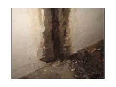屋顶漏水怎么办？长沙开福区房屋屋顶防水补漏≮专业做防水