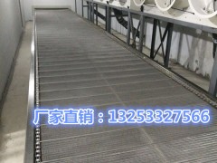 饺子速冻输送流水线 饺子生产线速冻隧道