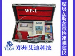 WP-1煤层瓦斯含量快速测定仪