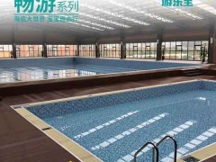 广东茂名婴儿儿童游泳池设备厂家供游乐宝大拼装式游泳池设备价格
