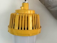 华荣GCD616防爆固态照明灯LED防爆平台灯50W