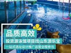 湖北恩施游泳池设备厂家投资供室内儿童游泳池设备钢构池价格
