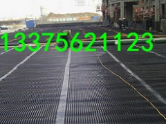 呼和浩特车库排水板销售——种植屋面绿化蓄水板供应