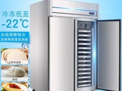 郑州风冷四门六门冰柜 插盘式冷冻柜面团速冻柜