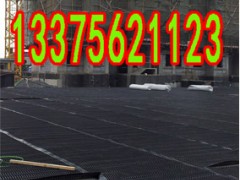 枣庄车库顶板塑料排水板，2公分厚塑料滤水板供应厂家