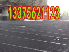 潍坊市HDPE塑料排水板——H20高塑料排水板销售