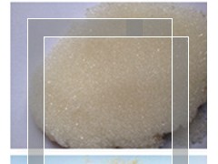 苏州博杰树脂科技有限公司，提供各种离子交换树脂和大孔吸附树脂