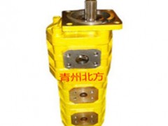 CBZ2080/2080/2040R非开挖钻机专用三联泵