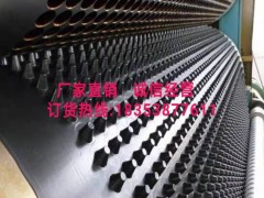 塑料凸片排水板北京2公分车库排水板价格