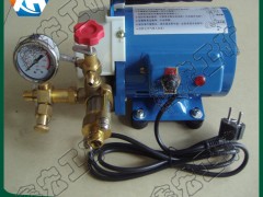 销售DSY-60电动试压泵厂家包邮