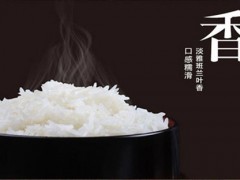 2019第十九届北京国际优质大米及精品杂粮博览会