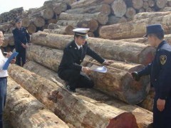 从南沙港进口乔木胡桃木原木的税费如何计算