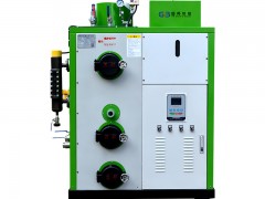 浙江国邦70KG生物质蒸汽发生器全自动蒸汽发生器