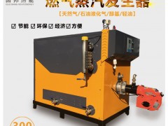 浙江国邦300KG节能环保燃油气锅炉全自动蒸汽发生器