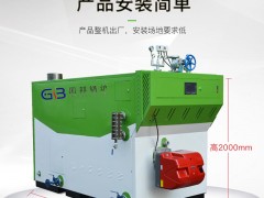 浙江国邦600KG节能环保燃气锅炉   全自动蒸汽发生器
