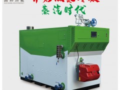 浙江国邦600KG超低氮天燃气蒸汽发生器  蒸汽锅炉