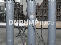 天津市热水泵厂潜水泵公司
