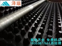 江西|南昌18高25厚车库蓄排水板厂家