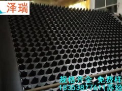 江西|南昌18高25厚车库蓄排水板厂家