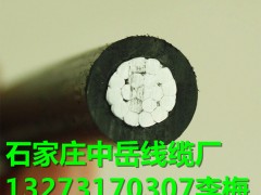 江苏省连云港青岳JKLGYJ-10KV-240/30