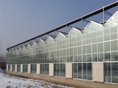承接西藏玻璃智能温室大棚日光温室大棚