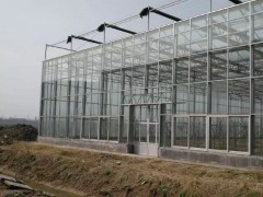 承接黔西南玻璃智能温室大棚薄膜连栋温室大棚