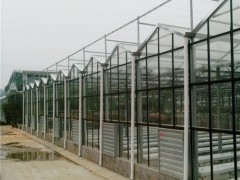承接萍乡玻璃智能温室大棚薄膜连栋温室大棚