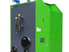 生物质蒸汽发生器1吨免检锅炉供暖洗涤食品工业商用