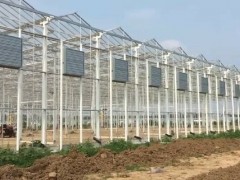 承接襄樊智慧农业温室大棚自动化育苗温室玻璃智能温室