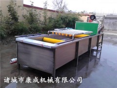 连续式海棠果清洗机 柑橘清洗机 小型洗果机厂家