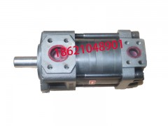 NT2-G10F齿轮泵生产厂家