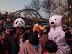 【网红不倒翁演出】网红大熊猫北极熊巡游互动演出