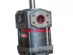 IGP4-H020高压齿轮泵，耐高温