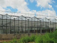 三角形层面连栋玻璃温室/玻璃温室承建/连栋玻璃温室