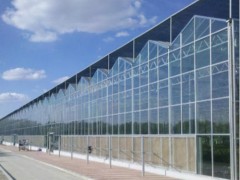 阳光板温室特点/阳光板温室造价/阳光板温室承建
