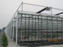 智能文洛型玻璃温室造价/智能文洛型玻璃温室承建