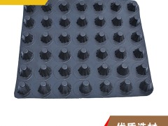 欢迎——鞍山塑料凸片排水板—全国发货