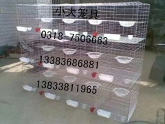出售各种鸡笼 鸽笼 兔笼 鹌鹑笼 鹧鸪笼 运输笼 鸟笼 狗笼