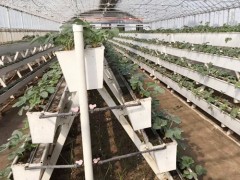 辽宁加工草莓立体种植槽厂家
