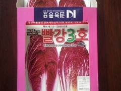 韩国进口紫白菜种子