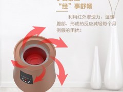 上海华夏暖艾立式智能艾灸仪 明火滤烟温灸仪 美容院厂家供应