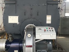 海威中心回燃锅炉超低氮燃气燃烧器FGR